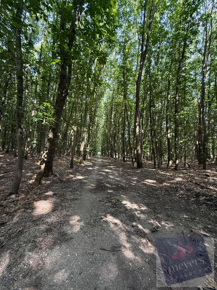 Land for sale in Houthalen-Helchteren - photo 5