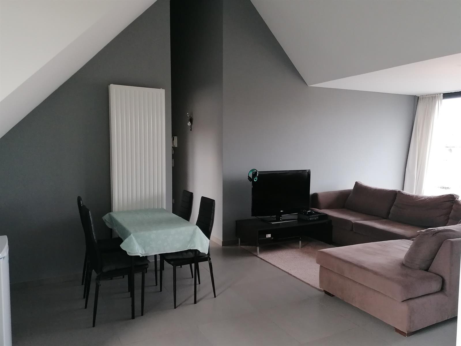 Appartement met 1 slaapkamer en groot terras  - foto 4