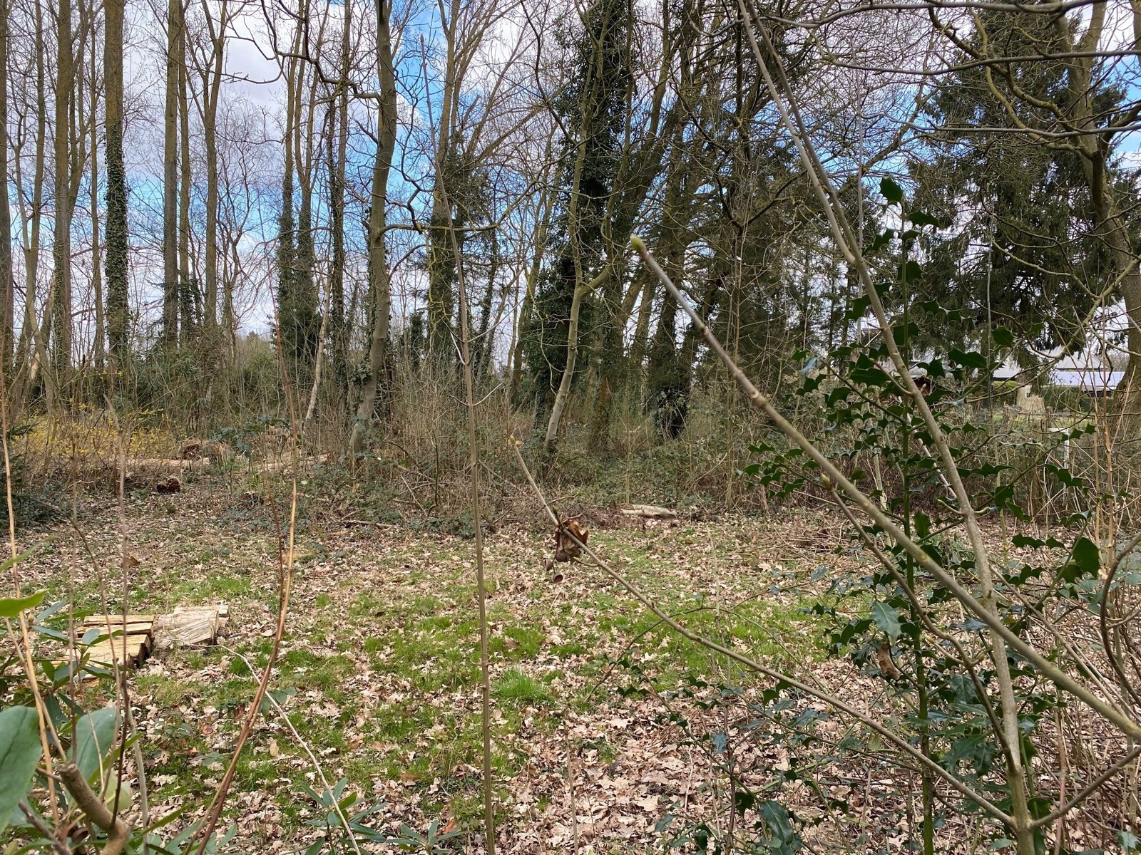 Terrain à vendre à Affligem - photo 4