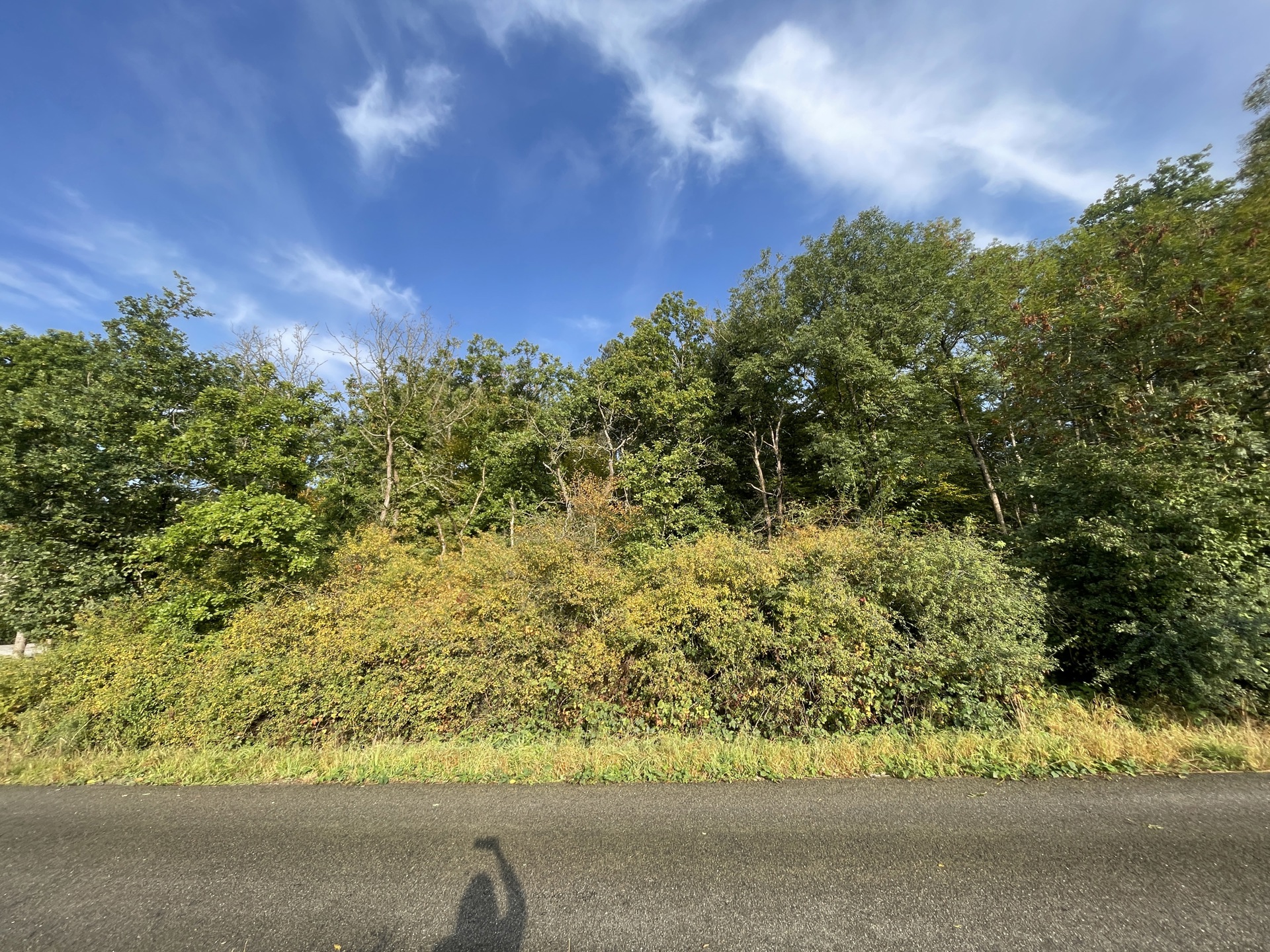 Grond te koop in Ciney - foto 3