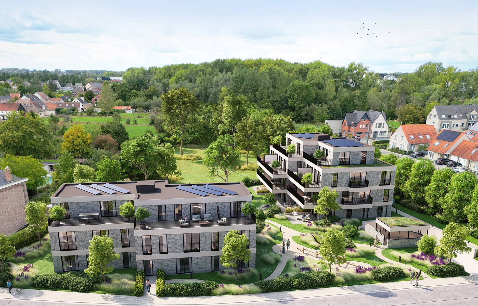 Project te koop in Denderleeuw - foto 5