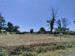<p><span>'Immobilière Cosse offers you the sale of this magnificent plot of land ideally located in Tier de Rome, in the popular commune of </span><span>Durbuy</span><span>. This plot of land offers a peaceful, leafy setting, perfect for building the house of your dreams or a charming gîte.</span></p><p><span>Key features:</span></p><ul><li><span> Sought-after location, just a few minutes from the center of Durbuy</span></li><li><span> Quiet, wooded and natural setting</span></li><li><span> Generous surface area, easy access and close to amenities</span></li><li><span> Water/electricity connections available nearby</span></li></ul><p><span> Building land with residential or tourist potential</span></p>