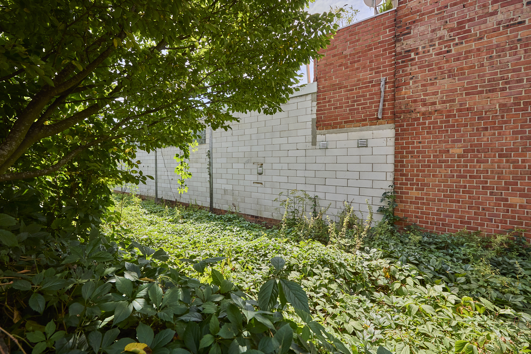 Land for sale in Hasselt - photo 4