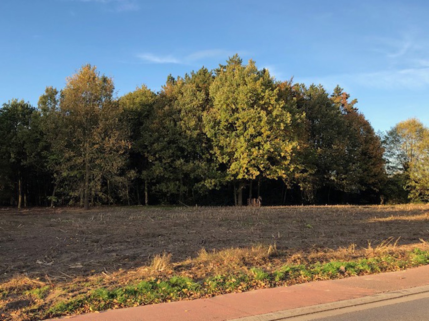 Terrain à vendre à Lokeren - photo 3