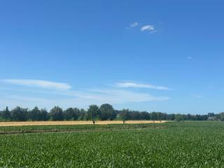 **Ten laatste maandag meer foto's beschikbaar** <br /><br />Uiterst rustig gelegen tussen de velden, aan Hogevorst 29, stellen wij u graag deze ruime woning voor op een perceel van ca. 2.800 m². Rust, ruimte en genieten vormen hier de rode draad: van het prachtige uitzicht over de achterliggende velden en de ruime tuin tot de volwaardige leefruimtes binnenshuis.<br /><br />De woning werd gebouwd in 2017, is asbestveilig en geniet van een centrale, maar tegelijk landelijke ligging. Het EPC bedraagt een schitterende score met label A. <br /><br />Bovendien bevindt de woning zich op slechts enkele minuten van het centrum van Bassevelde, waar winkels en dagelijkse voorzieningen vlot bereikbaar zijn.<br /><br />Op het gelijkvloers beschikt de woning over een riante inkomhal met afzonderlijk gastentoilet, een lichtrijke leefruimte met open keuken, een volwaardige slaapkamer en een naastgelegen badkamer met ligbad. Aansluitend aan de keuken bevinden zich een praktische berging en een aparte wasplaats.<br /><br />De verdieping omvat drie ruime slaapkamers, een tweede badkamer met inloopdouche en een zolderluik. <br /><br />Parkeren kan zowel in de inpandige garage als op de ruime oprit, die afgesloten wordt met een poort.<br /><br />Ook buiten is het volop genieten. Het ruime perceel biedt volledige privacy, een prachtig landelijk uitzicht en tal van mogelijkheden om het buitenleven optimaal te beleven.<br /><br />Bent u op zoek naar rust en ruimte in een moderne woning met een landelijke toets? Dan is dit zonder twijfel een unieke kans.<br /><br />**De gepubliceerde prijs is een richtprijs. Dit betekent dat u vrij bent om een bod uit te brengen. De verkoper behoudt zich het recht voor om al dan niet op een bod in te gaan. De uiteindelijke verkoop kan pas tot stand komen na aanvaarding van een bod en ondertekening van de compromis.<br /><br />Nieuwsgierig naar meer? Contacteer ons via 0472/98.16.29 (WhatsApp bij afwezigheid) of via immovercruysse.verkoop@gmail.com.