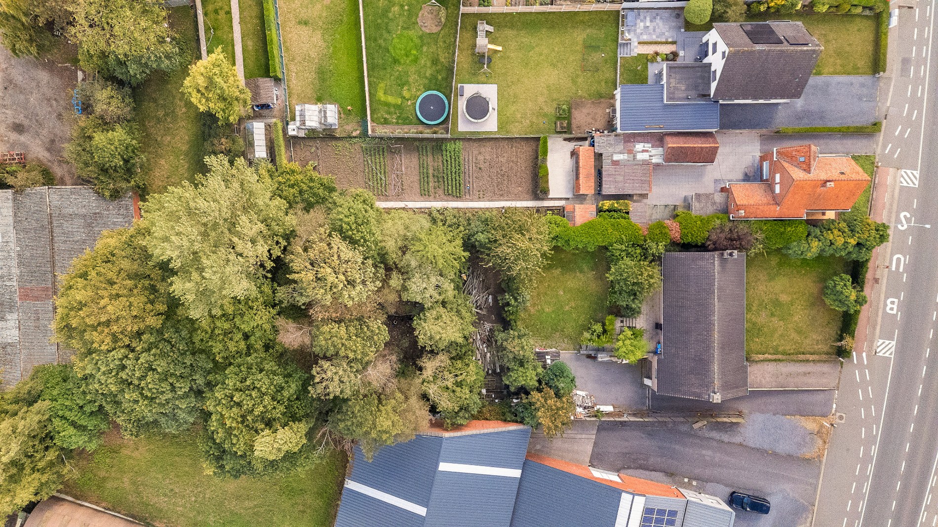 OP TE FRISSEN WONING MET 3 SLPKS, GROTE TUIN EN 2 GARAGES - foto 3