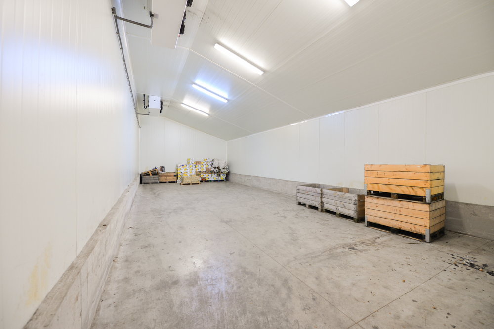 Ruim geïsoleerd magazijn / werkplaats / atelier gelegen te Horebeke - foto 5
