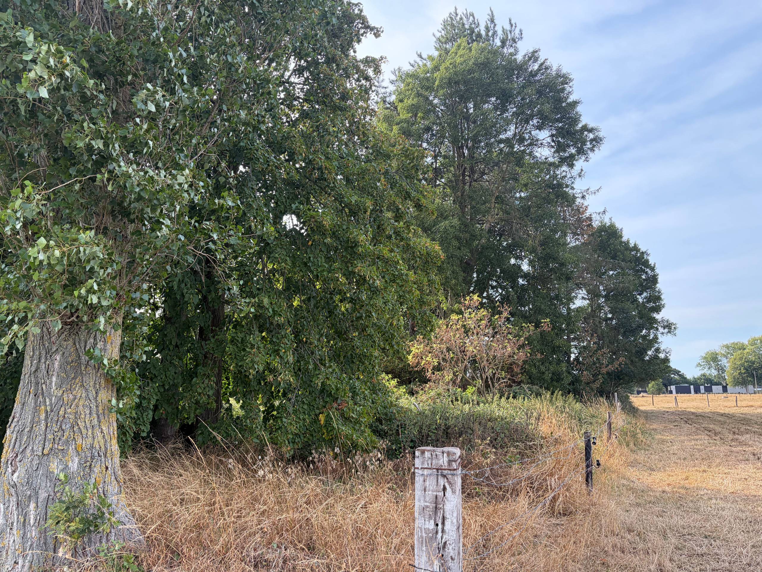 Land for sale in Oostkamp - photo 5