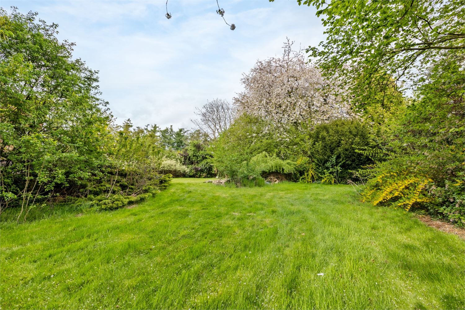 UNIEK GELEGEN BOUWGROND OMGEVEN DOOR GROEN - foto 5