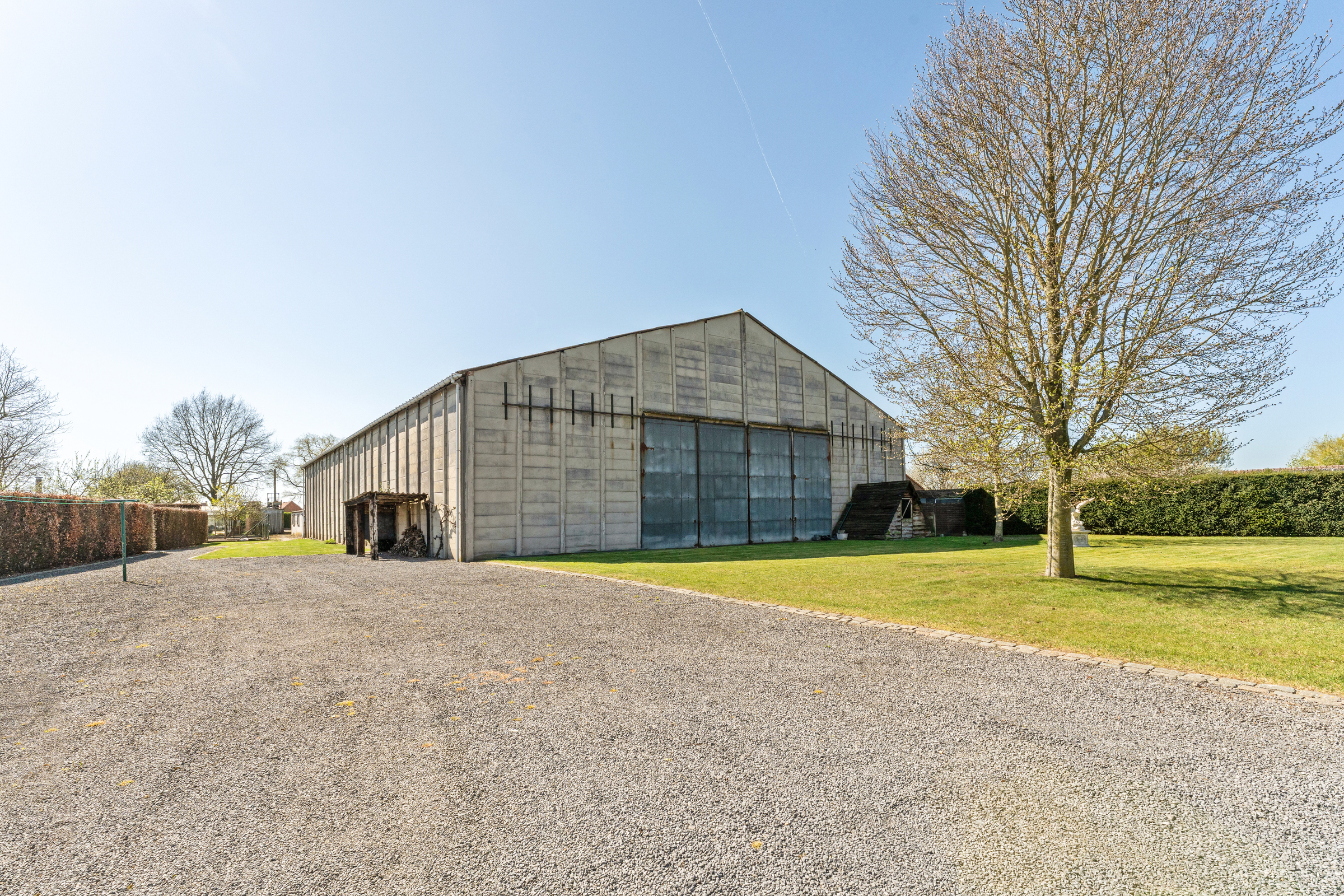 Commercial for sale in Dentergem - photo 2