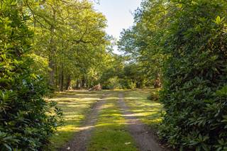 <p><strong>Uitzonderlijk landhuis op historisch parkdomein van ca. 2,68 ha in Blaasveld.</strong></p>
<p><strong>BEKIJK ZEKER ONZE (VIRTUELE) GRONDPLANNEN EN ATTESTEN VOOR DE INDELING EN EXTRA INFORMATIE.</strong></p>
<p>Bent u op zoek naar een uitzonderlijke eigendom waar ruimte, privacy, karakter en geschiedenis centraal staan? Dit statige landhuis is bereikbaar via een privatieve dreef en bevindt zich op een uniek parkdomein van ca. 26.801 m² met vijver, bos en imposante hoogstammige bomen.</p>
<p>Het domein draagt een bijzondere geschiedenis: hier bevond zich vroeger het Kasteel van Blaasveld, ook bekend als het ‘Hoff van Blaesvelt’. Het oorspronkelijke kasteel verdween later en maakte plaats voor het huidige landhuis. De authentieke open haard uit het vroegere kasteel bleef bewaard en vormt vandaag een bijzonder karakterelement in de leefruimte.</p>
<p>Ook in het park bleef een uitzonderlijk historisch element bewaard: een beschermde, meer dan 300 jaar oude tamme kastanje, die als de grootste van België wordt beschouwd.</p>
<p>Het landhuis biedt ca. 517 m² bewoonbare oppervlakte en onderscheidt zich door zijn royale leefruimtes en talrijke karakterelementen, waaronder ingelegde parketvloeren, marmeren vloeren en raamtabletten, lambriseringen en de historische open haard.</p>
<p>Gecombineerd met het private parkdomein van ruim 2,68 hectare ontstaat een eigendom met een schaal, privacy en historische uitstraling die in de regio slechts zelden wordt aangeboden. Het geheel is te moderniseren en biedt een uitzonderlijke basis om het landhuis met respect voor zijn karakter en geschiedenis naar eigen smaak en hedendaags comfort te brengen.</p>
<p>De ligging combineert een oase van rust en privacy met een centrale bereikbaarheid tussen Antwerpen en Brussel, op korte afstand van Mechelen en met een vlotte verbinding naar de belangrijkste invalswegen.</p>
<p><strong>ALGEMENE KENMERKEN:</strong></p>
<ul>
<li>Karaktervol landhuis op een uniek parkdomein van ca. 26.801 m²</li>
<li><span> 517 m² bewoonbare oppervlakte</span></li>
<li>Momenteel zijn er 3 slaapkamers + bureauruimte, met mogelijkheid tot het creëren van 2 bijkomende slaapkamers op de tweede verdieping</li>
<li>Privatieve dreef en oprijlaan van 150m</li>
<li>Historische kasteelsite met vijver, bos en hoogstammige bomen</li>
</ul>
<p></p>
<p><strong>TECHNISCHE KENMERKEN:</strong></p>
<ul>
<li>EPC-label D – 309 kWh/(m²/jaar)</li>
<li>Elektrische installatie is niet conform</li>
<li><span>Asbestveilig</span></li>
<li><span>Houten buitenschrijnwerk</span></li>
<li><span>Alarminstallatie</span></li>
</ul>
<p><span> </span></p>
<p><strong>INDELING:</strong></p>
<p><u>Gelijkvloers</u></p>
<ul>
<li>Imposante inkomhal met marmeren vloer en gastentoilet</li>
<li>Royale leefruimte op ingelegde parket, opgebouwd uit een dubbel salon met de authentieke open haard afkomstig uit het vroegere Kasteel van Blaasveld</li>
<li>Eetkamer op parket met rechtstreekse toegang tot het terras en uitzicht over de vijver</li>
<li><span>Afzonderlijke keuken</span></li>
<li>Bureauruimte met toegang vanuit de inkomhal</li>
</ul>
<p><u>Eerste verdieping</u></p>
<ul>
<li><span>Nachthal</span></li>
<li>Ruime mastersuite met slaapgedeelte, dressing en ensuite badkamer</li>
<li><span>2 bijkomende slaapkamers</span></li>
<li>Tweede badkamer met douche, ligbad, toilet en lavabo</li>
</ul>
<p><u>Tweede verdieping</u></p>
<ul>
<li>Ruime zolderverdieping bereikbaar via vaste trap</li>
<li>Polyvalente zolderruimtes met ramen, geschikt voor het creëren van bijkomende slaapkamers of hobbyruimte</li>
<li>Aansluiting voor verwarming en elektriciteit aanwezig</li>
</ul>
<p><u>Kelder</u></p>
<ul>
<li><span>Bergruimte</span></li>
<li><span>Technische / verwarmingsruimte</span></li>
</ul>