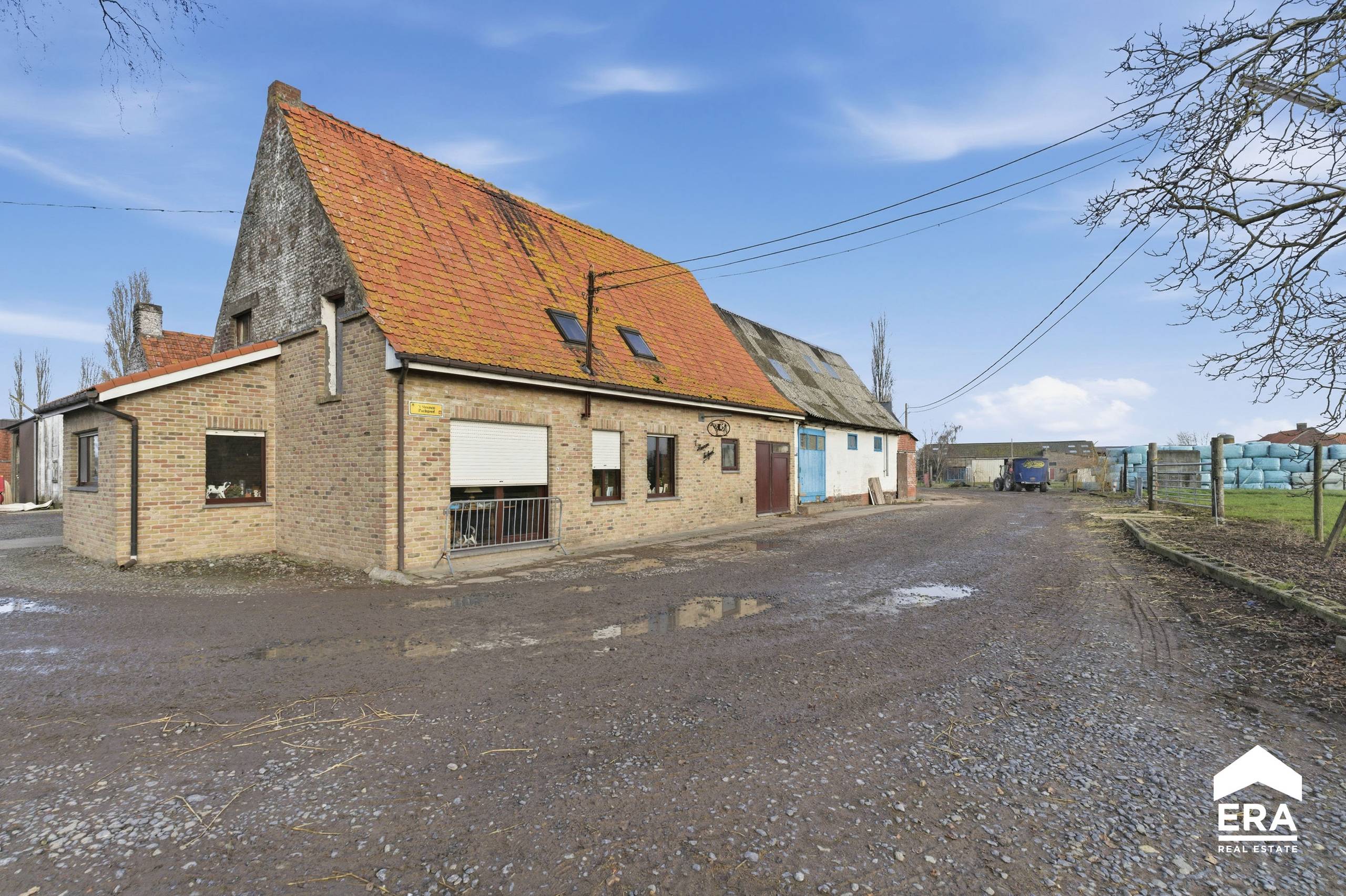 Te koop: landbouwbedrijf in Poperinge - foto 5