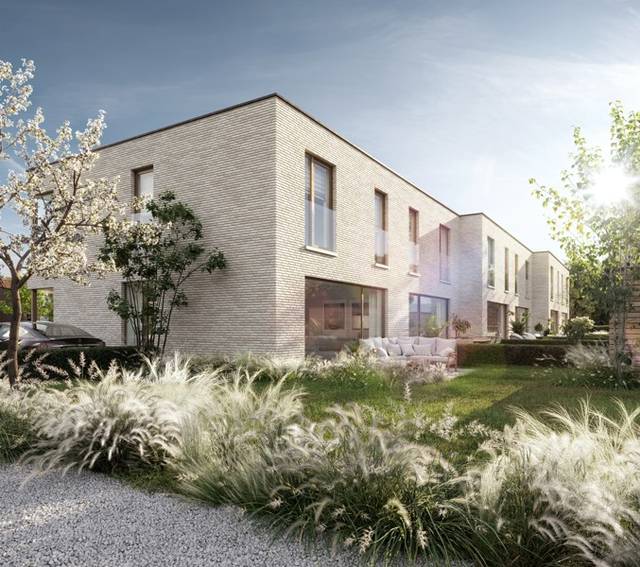 Projet à vendre à Wachtebeke