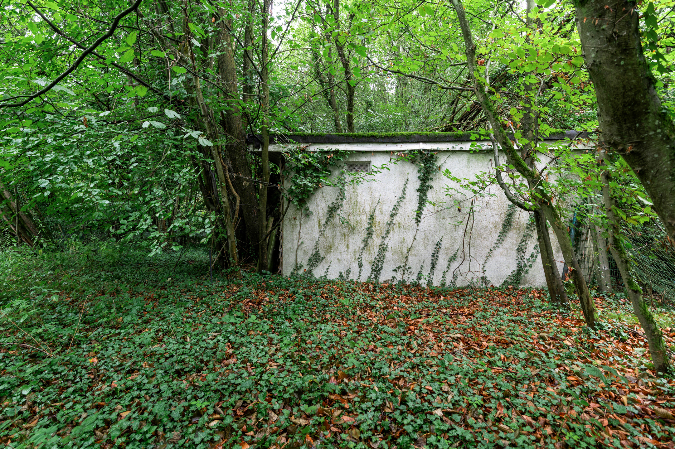 Recreatiegrond van 3.879m² in bosrijk gebied met twee grote vijvers - foto 5