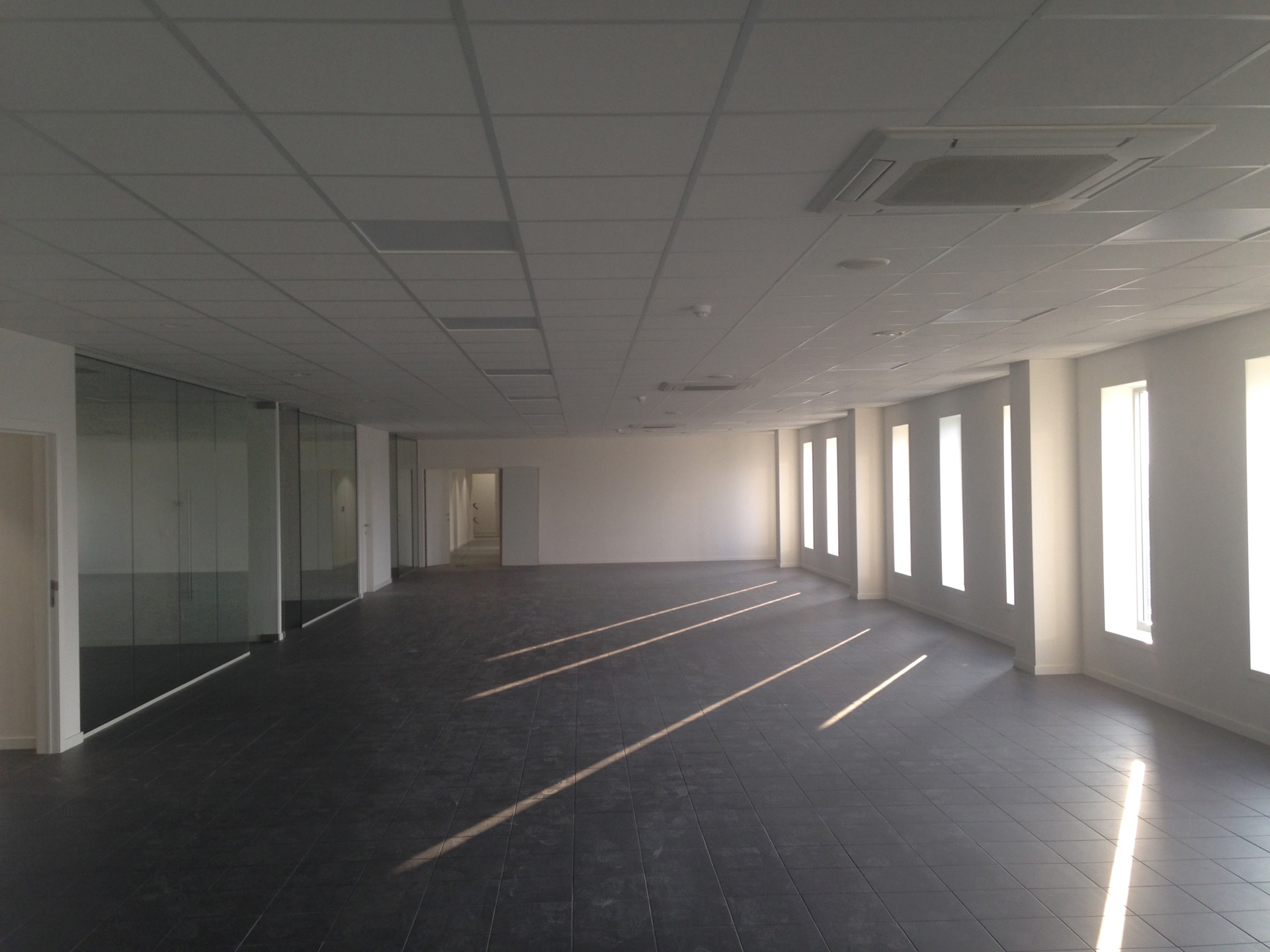 Kantoor casco 900m² te huur in de haven Kallo-Beveren. - foto 2