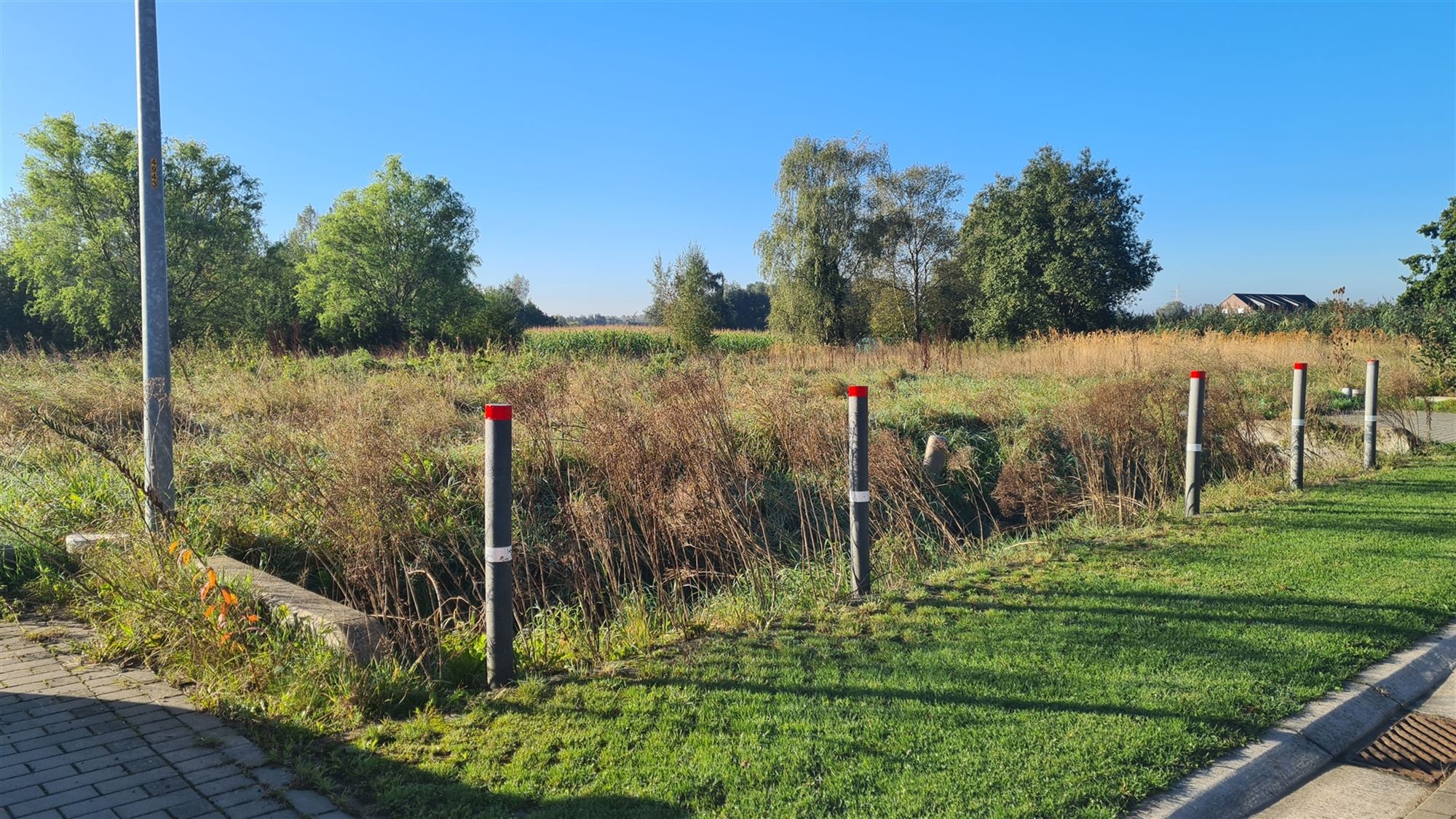 Terrain à vendre à Beerzel - photo 4