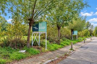 <p><span>Zuidgerichte bouwgronden voor open bebouwing in Sint-Gillis-Waas</span></p><p><span>In de Ettingestraat in Sint-Gillis-Waas worden vier ruime bouwgronden voor open bebouwing afzonderlijk te koop aangeboden. De percelen combineren een zuidgerichte tuin met een ligging aan achterliggend agrarisch gebied.</span></p><p><span>Met een oppervlakte van circa 1.200 m² per lot en een perceelsbreedte van ongeveer 25 meter bieden deze gronden volop ruimte voor een vrijstaande woning met een ruime tuin. Een mooie gelegenheid om uw bouwplannen te realiseren in een groene omgeving.</span></p><p><span>De beschikbare bouwloten:</span></p><ul><li><span>Lot 1: 1.210 m²</span></li><li><span>Lot 2: 1.205 m²</span></li><li><span>Lot 3: 1.202 m²</span></li><li><span>Lot 4: 1.224 m²</span></li></ul><p><span>Ook het achterliggende agrarische perceel, lot 5, met een oppervlakte van 5.369 m² wordt afzonderlijk te koop aangeboden. Dit perceel maakt geen deel uit van de bouwloten.</span></p><p><span>Neem contact op voor de prijs per lot, het verkavelingsplan en de bijhorende bouwvoorschriften.</span></p><p><span> </span></p>