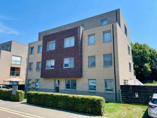 Appartement à louer à Tirlemont