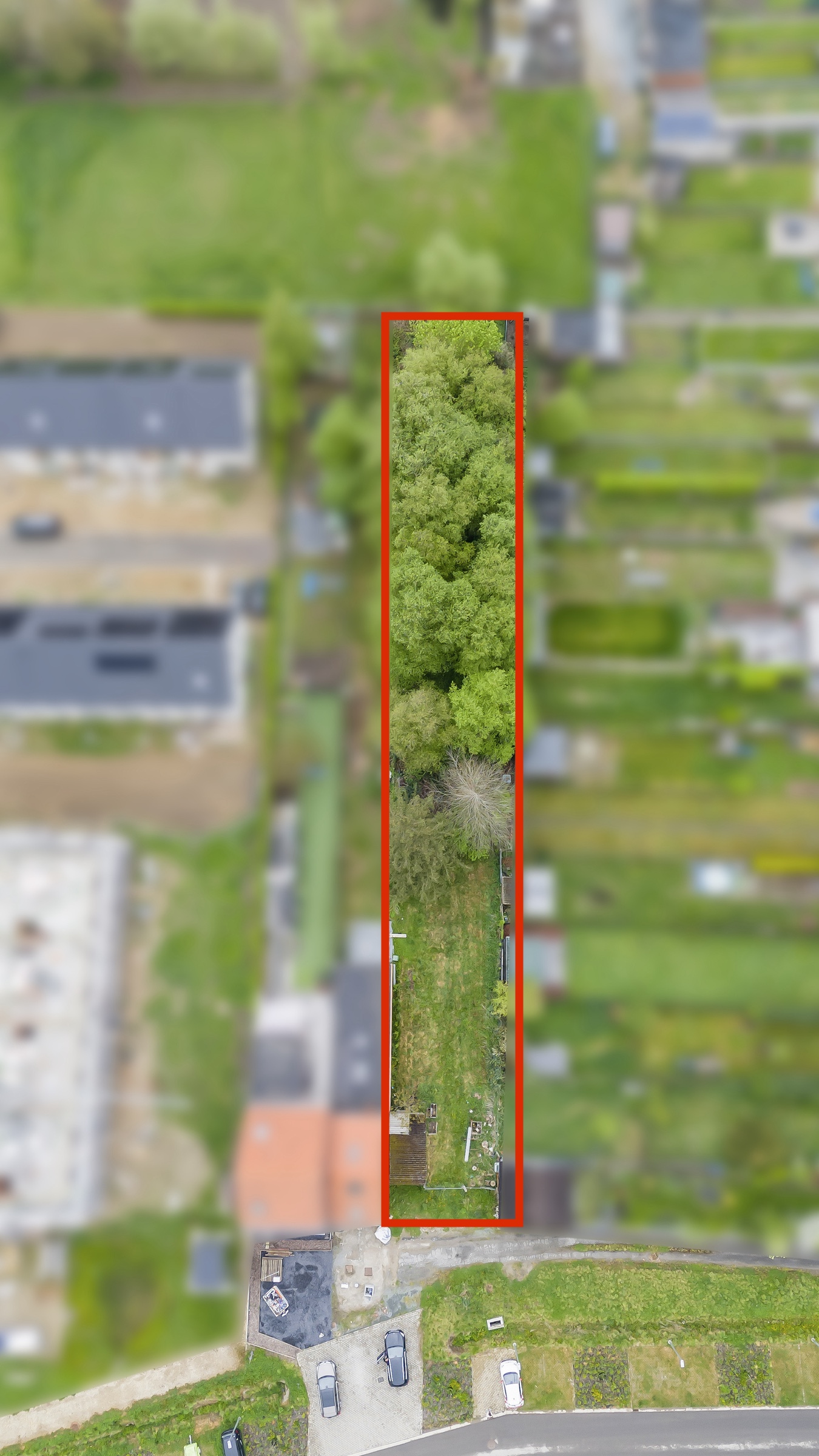 Land for sale in Lebbeke - photo 2