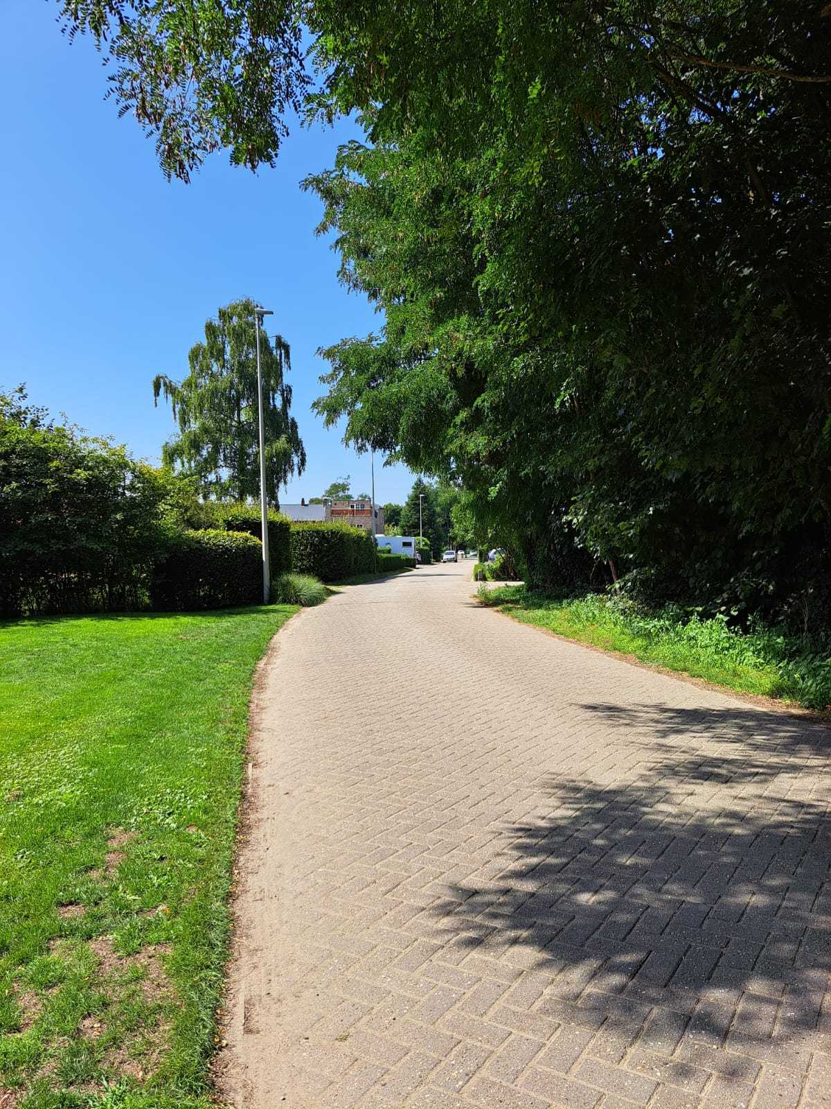 Grond te koop in Grobbendonk - foto 4