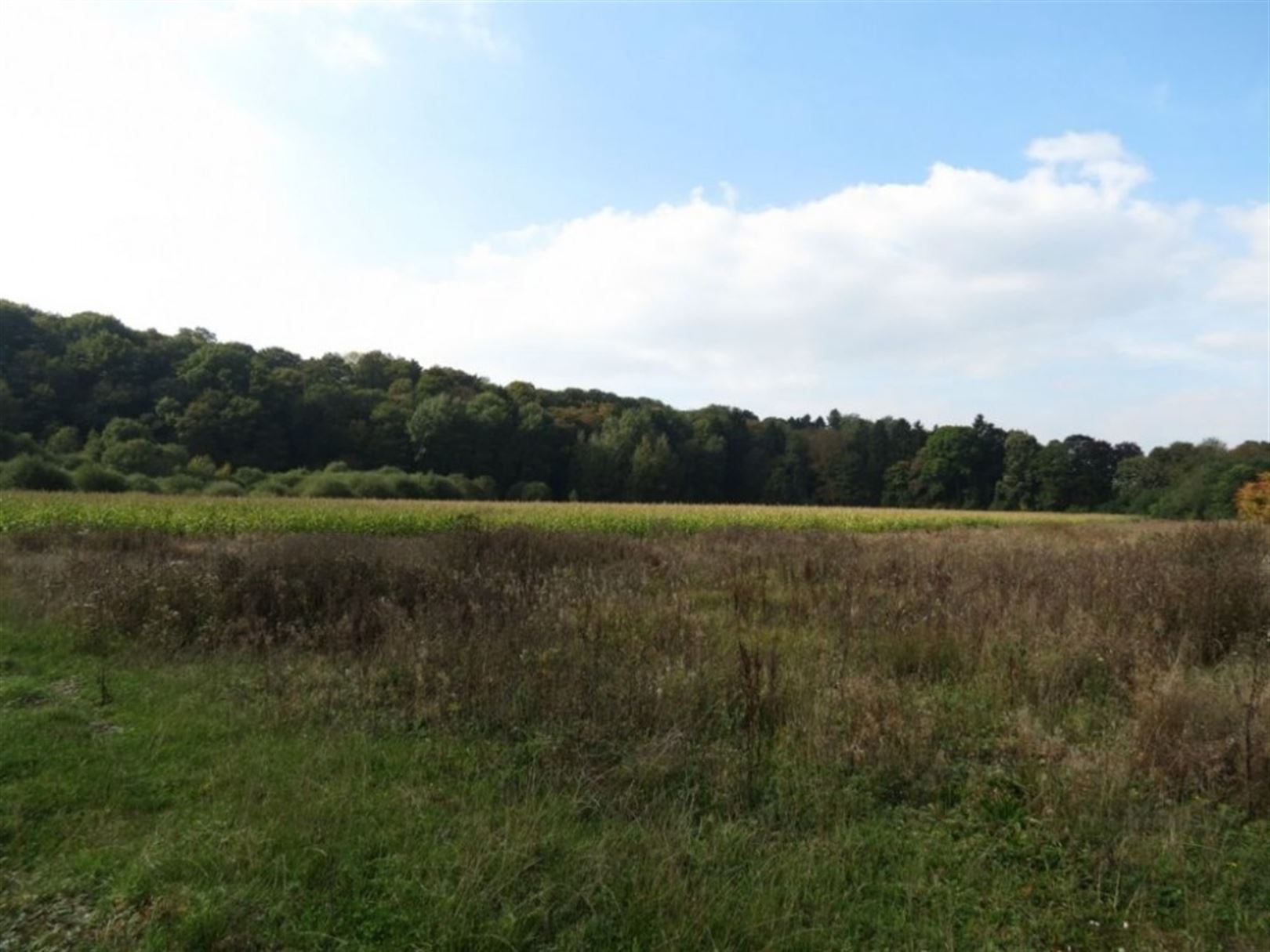 Land for sale in Hotton