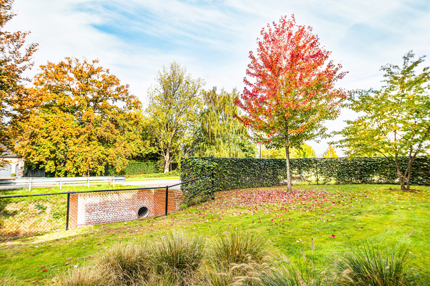 Lichtrijk gelijkvloers appartement met terras en tuinzicht - foto 4