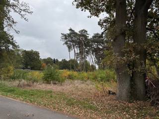 Terrain à vendre à Nijlen