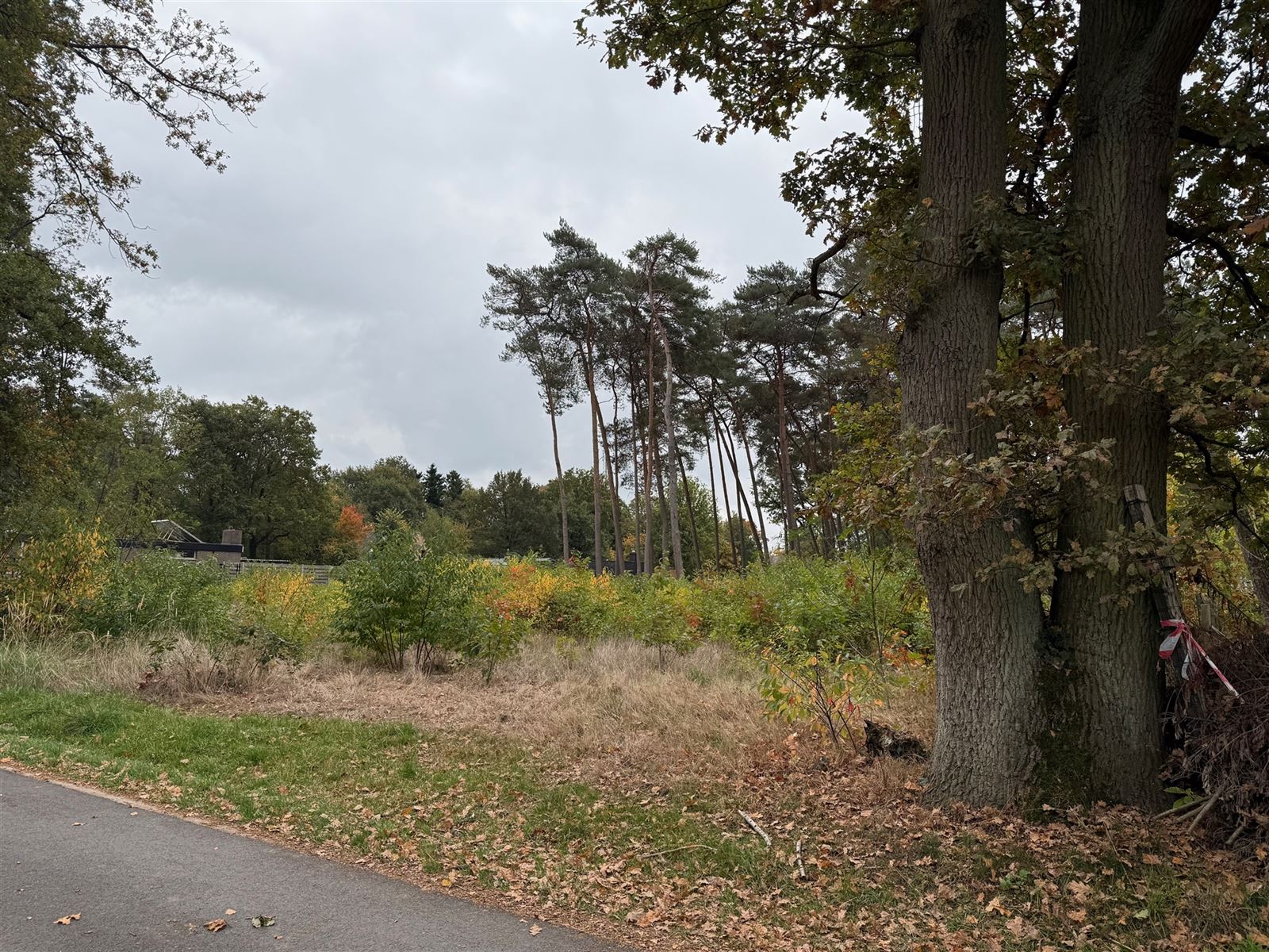 Terrain à vendre à Nijlen - photo 2