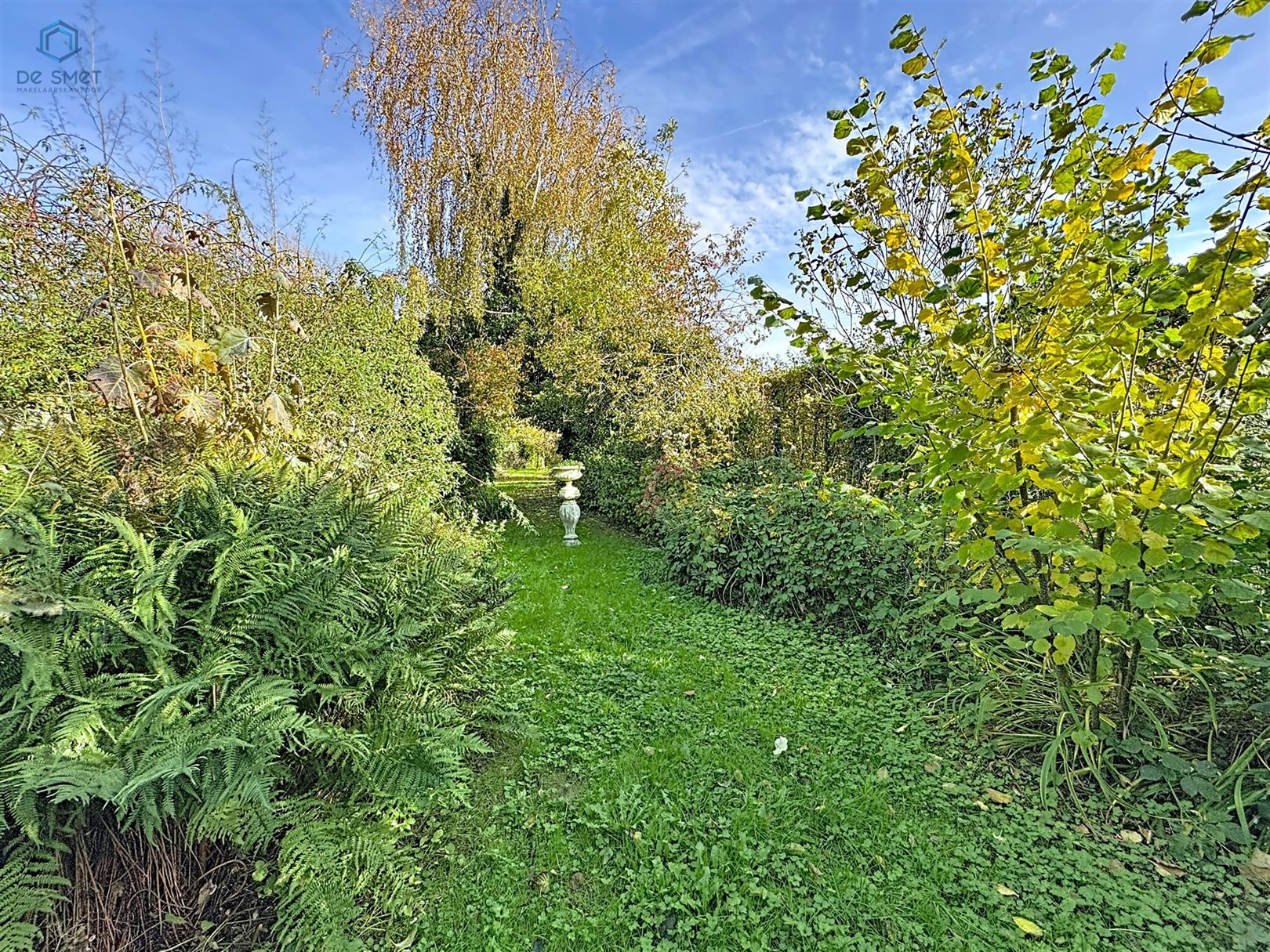 Te renoveren ruime woning met grote tuin - foto 3