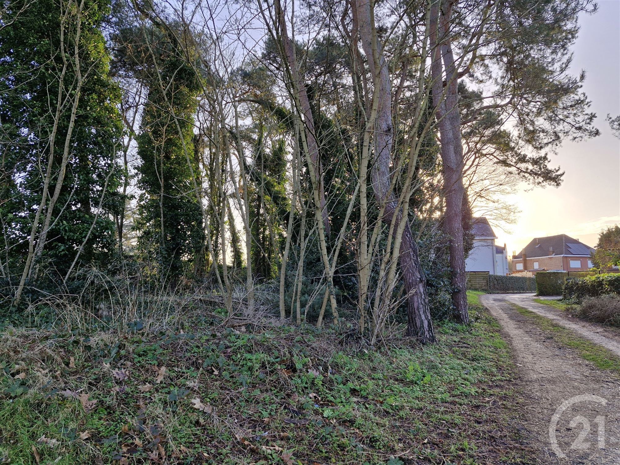 Bouwgrond te koop in Tremelo! - foto 4