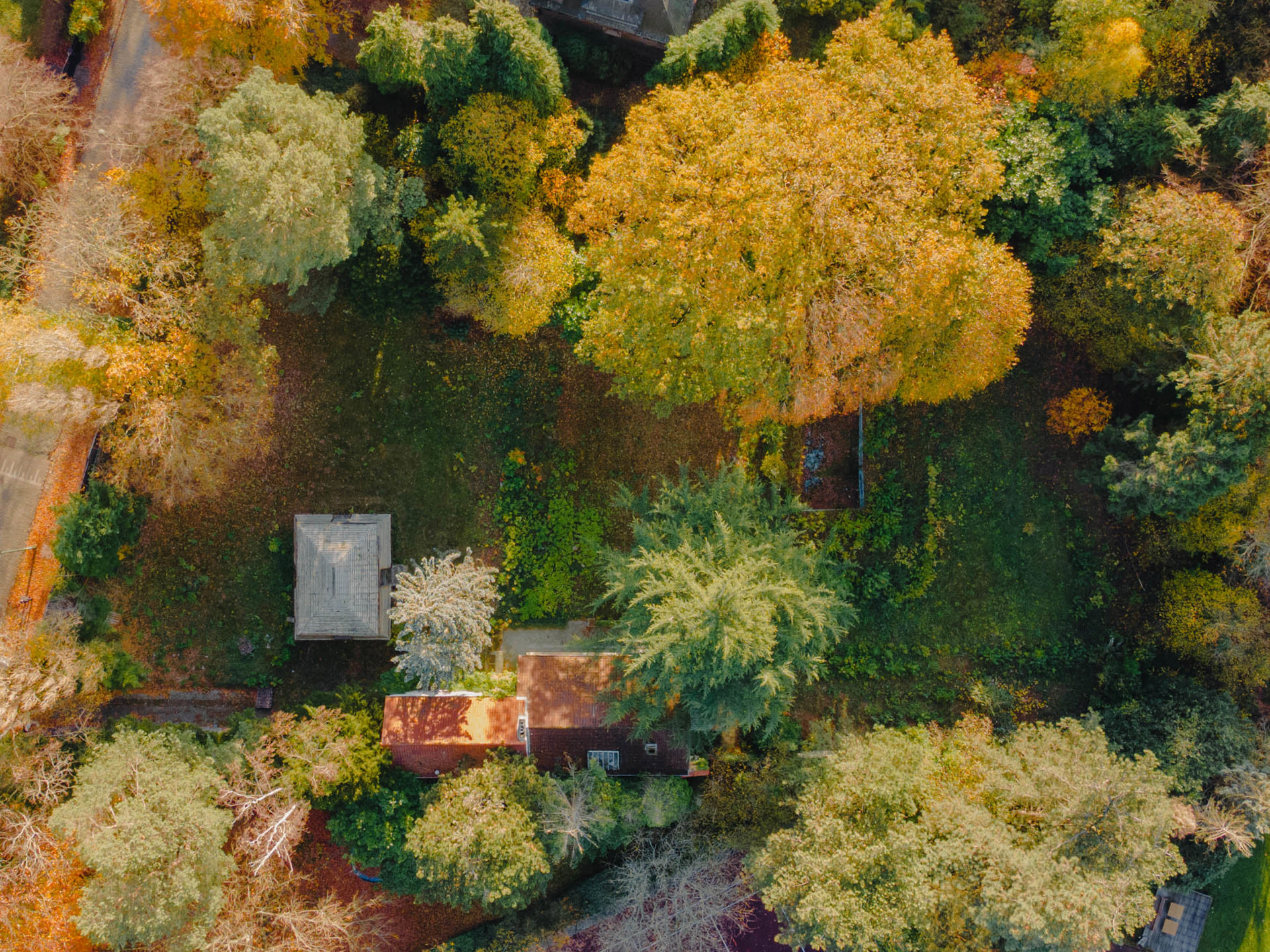 Terrain à vendre à Uccle - photo 5