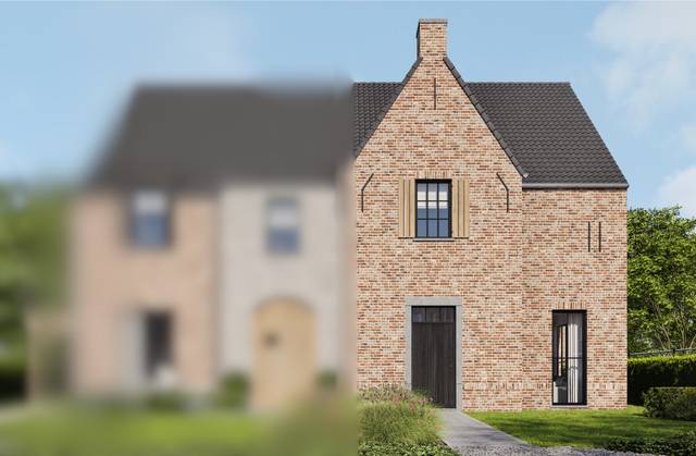 Project te koop in Bilzen