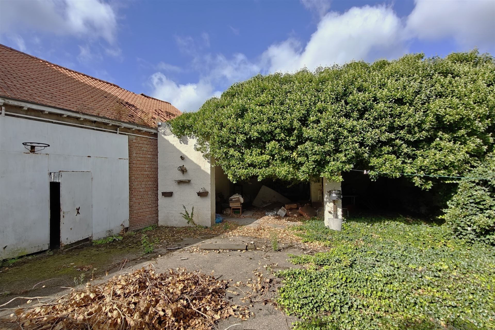 Handelspand met woonst op zeer gunstige locatie te Diepenbeek - foto 4