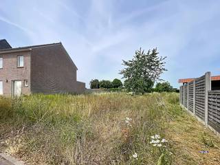 De perfecte basis voor uw woondroom<br /><br />Dit perceel is bestemd voor het oprichten van een halfopen bebouwing. Dankzij de aanzienlijke diepte en breedte van het terrein zijn de mogelijkheden voor het ontwerp van uw woning bijzonder uitgebreid. Of u nu droomt van een strakke moderne architectuur of een tijdloze klassieke stijl: hier krijgt uw visie de ruimte die ze verdient.<br /><br />Unieke troeven:<br />- Oppervlakte: met 950m² beschikt u over een aangename tuin waar u een paradijs kunt creëren voor kinderen, tuinliefhebbers of voor wie houdt van rust en groen<br />- Topligging in Aalter: gelegen in een aangename, residentiële omgeving met een vlotte verbinding naar het centrum, winkels, scholen en de belangrijke invalswegen (E40)<br />- Geen verkavelingsvoorschriften <br /><br />Aalter vormt de perfecte brug tussen Gent en Brugge, wat deze locatie ook zeer interessant maakt voor woon-werkverkeer. Kortom, een unieke kans voor wie riant wil bouwen op een strategische locatie in het hart van Oost-Vlaanderen.