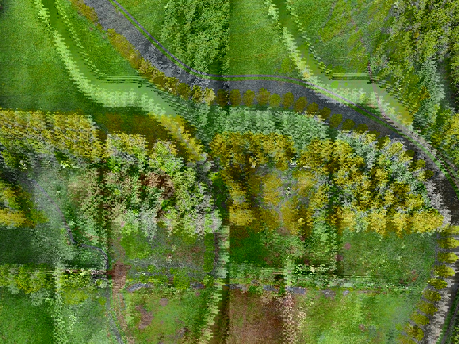 Natuurgebied te koop te Appelterre-Eichem (Ninove) - foto 2