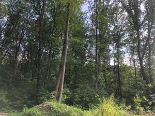 Recreatiegrond van 24a 35ca gelegen in Westmeerbeek aan de N15 met achteraan een zeer rustige, groene omgeving. Het (her)oprichten van een chalet...