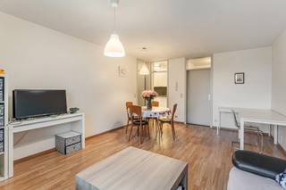 Cet appartement à rafraîchir est situé au Kempenhof 12, bus 17 à Hasselt, juste à l'extérieur du périphérique principal et à quelques minutes à...