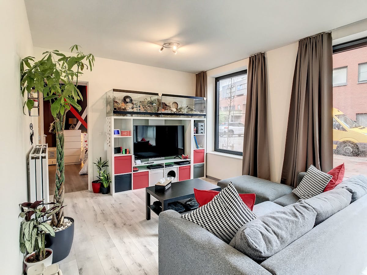 Recent appartement met autostaanplaats te huur in Loenhout! - foto 4