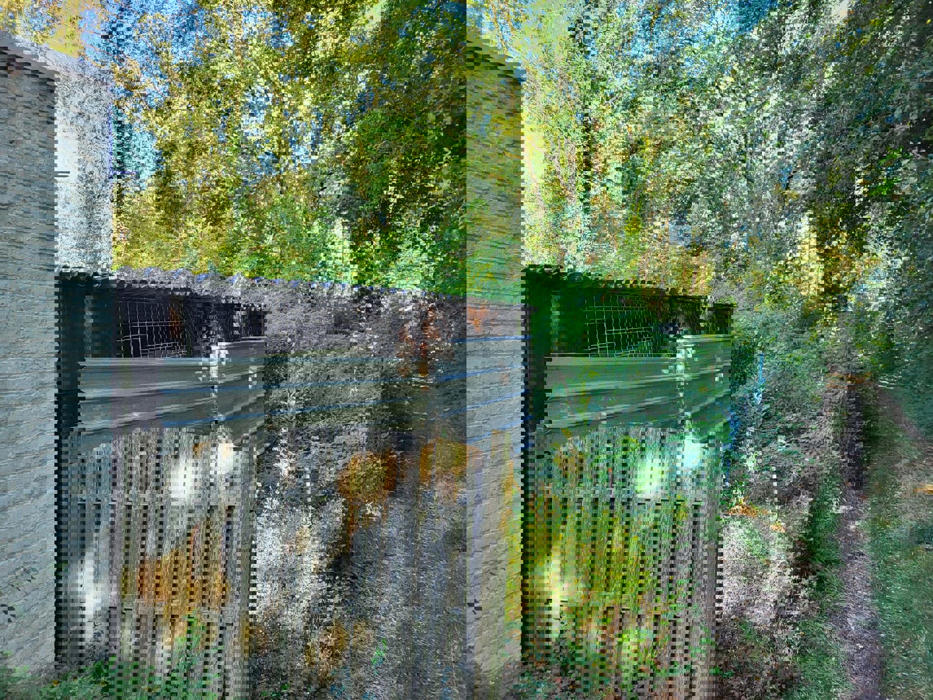 Te koop in Genk: (handels)huis - Hasseltweg 344 - foto 5