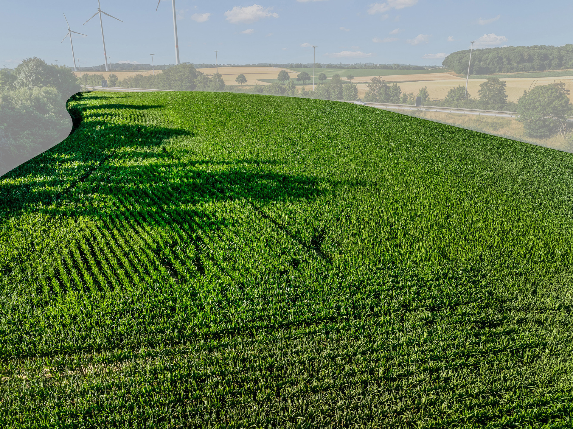 Landbouwgrond 1ha36a02ca te Ketsingen (Tongeren) - foto 4