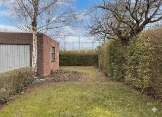 De woning is gelegen te Bissegem, met een vlotte verbinding naar het centrum van Kortrijk, Bissegem plaats en de belangrijke invalswegen. Daarnaast bevindt de woning zich op een boogscheut van het sportcentrum Ter Biezen, de Leie, diverse horecazaken, winkels en supermarkten. Daarnaast zijn scholen en crèches vlakbij, wat dit huis bijzonder aantrekkelijk maakt voor gezinnen. INDELING: Gelijkvloerse verdieping: - inkomhal met trap naar het eerste verdiep en een gastentoilet - aangename woonkamer met veel raampartijen - aanpalende keuken met zicht op de tuin - polyvalente ruimte (ideaal als bureau, praktijkruimte of speelkamer voor de kinderen)- ruime tuin met uitweg en garage- kelder Eerste verdiep: - 3 slaapkamers - badkamer uitgerust met lavabo, ligbad/douche- apart toilet - zolderruimte te bereiken met vlizotrapTroeven van deze woning: - uitstekende structuur - volledig vernieuwd dak (2024) - voorzien van nieuwe ramen (pvc - 2021) - ruime halfopen bebouwing - aanwezigheid van oprit en garageWenst u meer info over deze woning of wenst u een bezoek ter plaatse? Contacteer Alissia Dewitte (0472 18 64 21 - alissia.dewitte@dewaele.com) of Yoshi Vandeginste (0474 49 50 38 - yoshi.vandeginste@dewaele.com)
