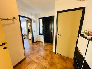 <strong>Menen - Grote, statige, lichtrijke woning in Menen met veel mogelijkheden te koop.</strong><br /><br />Op zoek naar een kloeke, grote woning met veel potentieel?<br /><br /><strong>Indeling:</strong><br />Inkom + toilet, keuken, grote living, terras en tuin<br /><u>1ste verdieping:</u> 3 slaapkamers, badkamer, wasruimte<br />Volledig onderkelderd (mogelijkheid tot hobbyruimte, stockage, extra kamers ...)<br /><br /><strong>Troeven:</strong>
<ul><li>Grote kelder</li><li>Instapklaar</li><li>Tuin + terras</li><li>Centrale ligging; vlotte verbinding E19, maar doodlopende straat</li></ul>