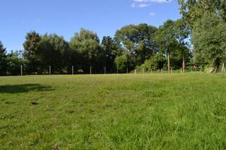 Te huur: Paardenstalling met weides en buitenpiste op idyllische liggingBen je op zoek naar een praktische en rustige plek voor je paarden? Dan is...