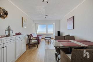 Compact appartement (43 m²) met één slaapkamer en kelderberging (9 m²) gelegen aan de zeedijk, met een prachtig uitzicht op strand en zee.Dit zou ook...