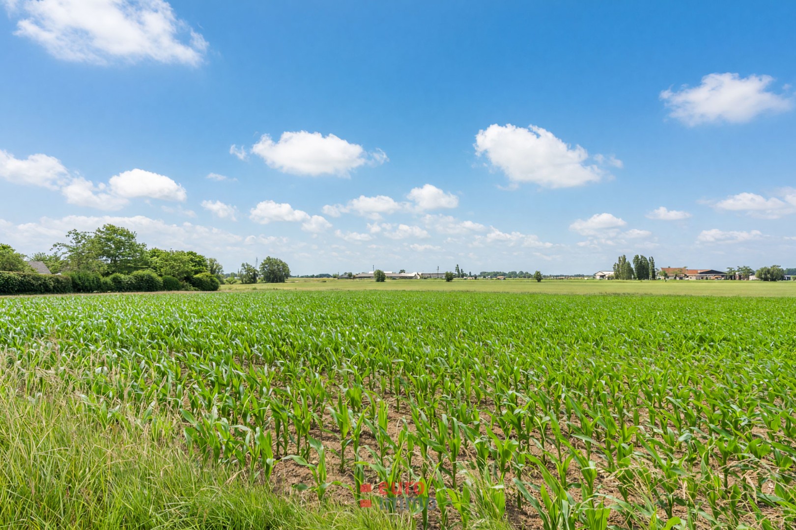 Exclusief gelegen bouwgrond aan de buitenrand van Ieper! - foto 4