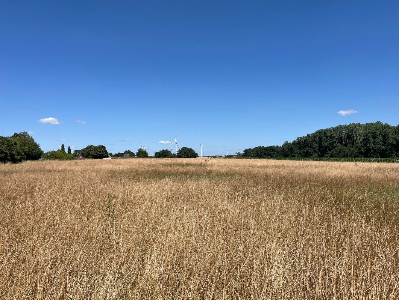 Grond te koop in Namen - foto 1