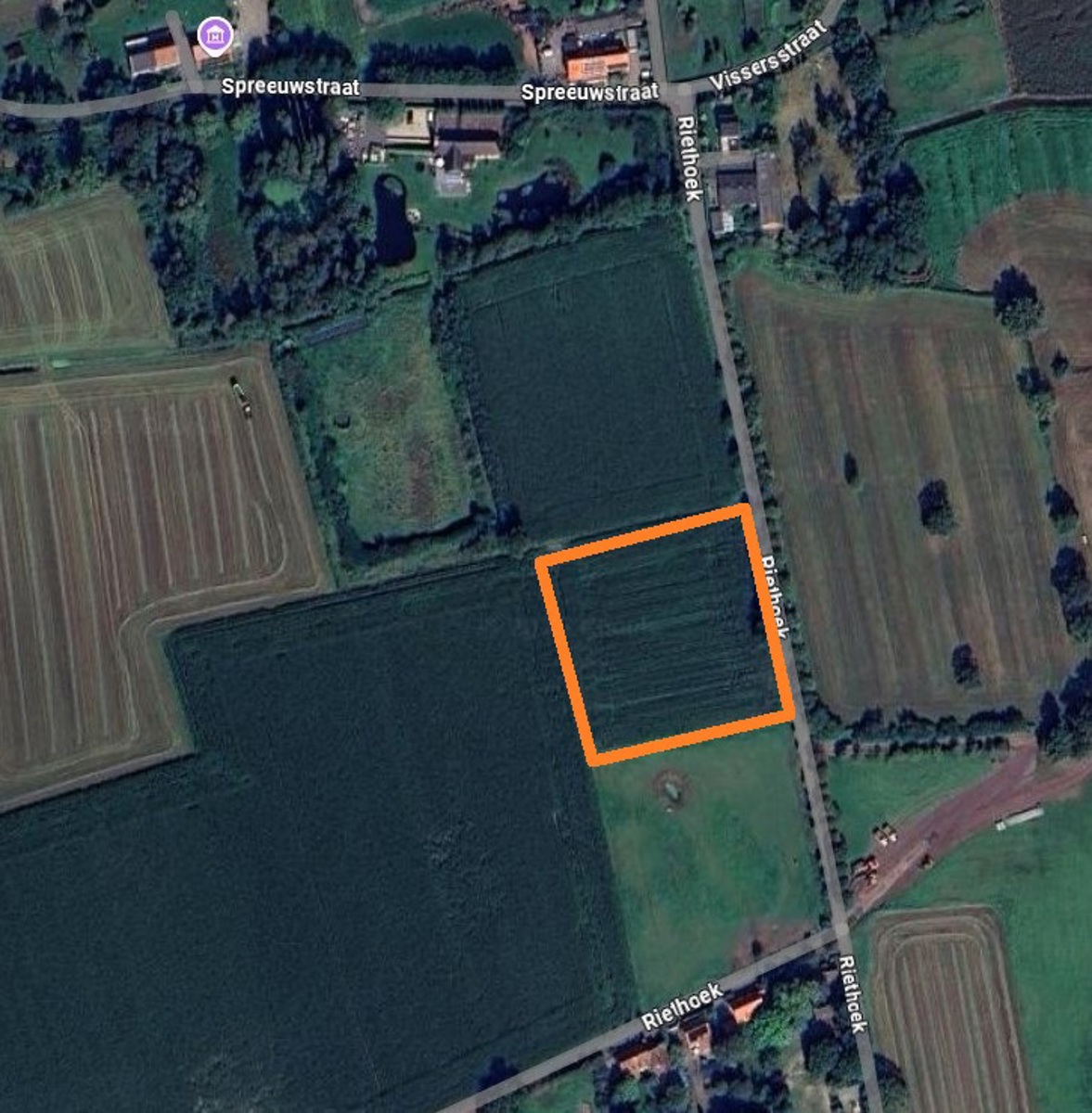 Weiland vrij van pacht! - foto 2