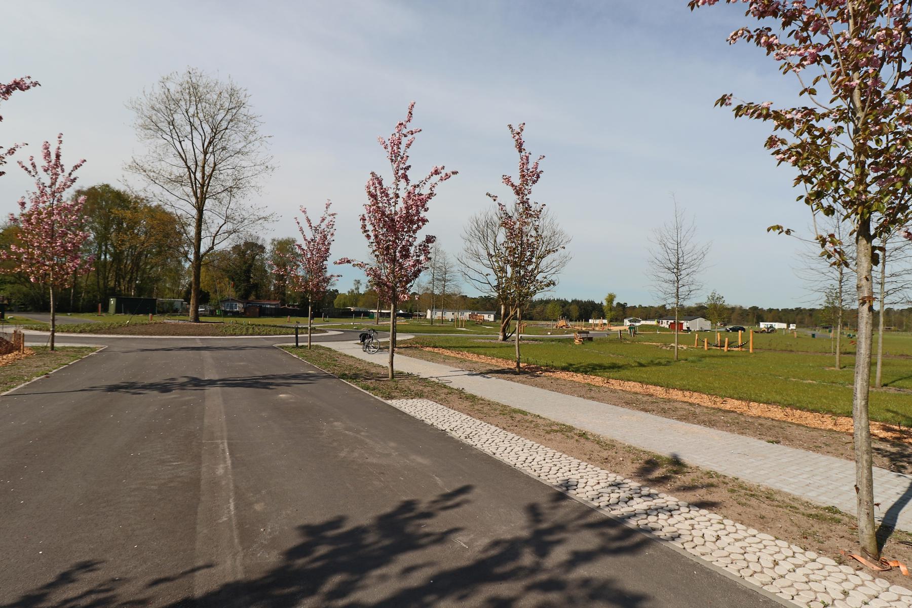 180 luxe chalets op Resort Veldenberg te Merksplas. - foto 2