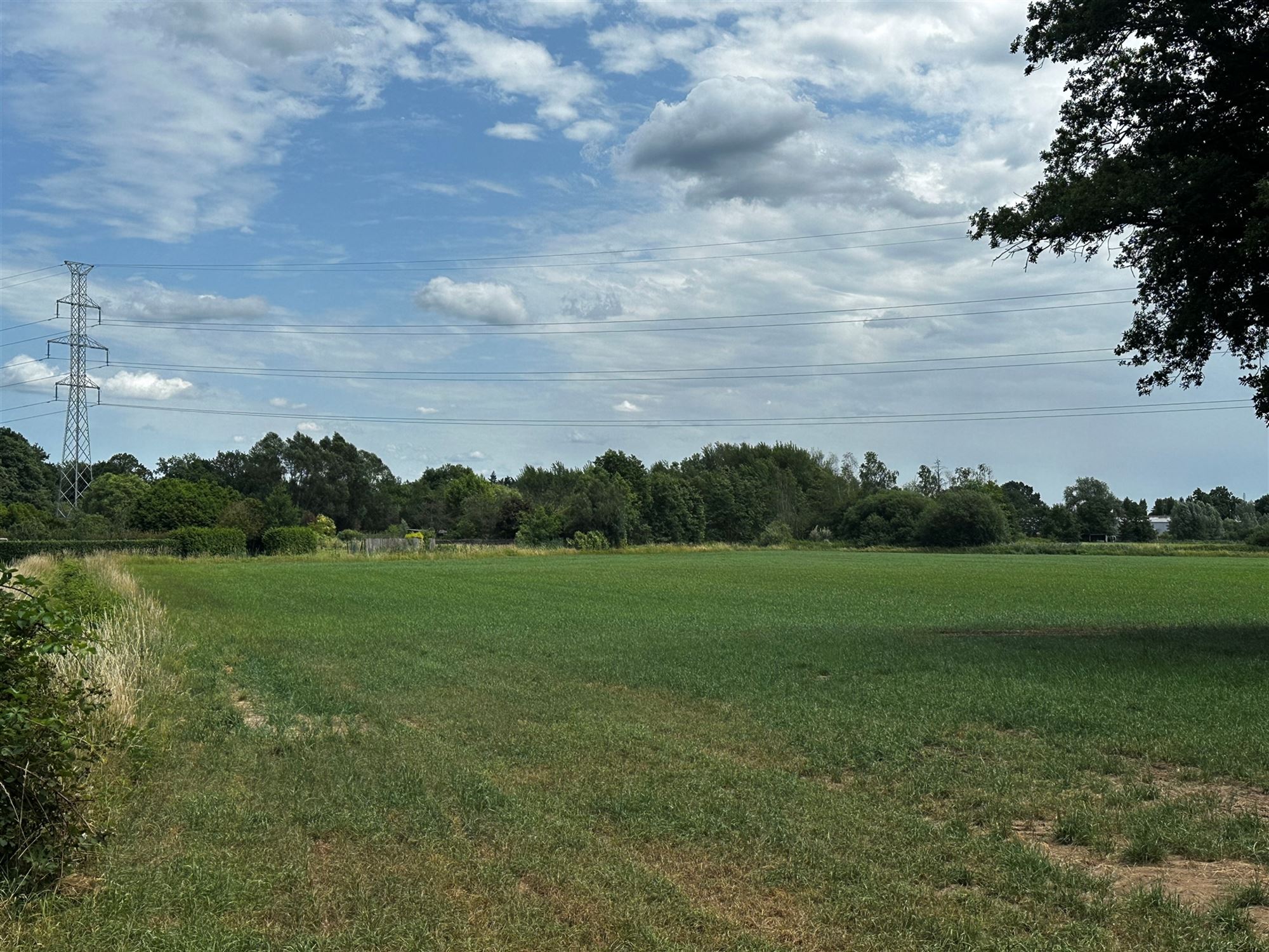 Terrain à vendre à Beringen - photo 2