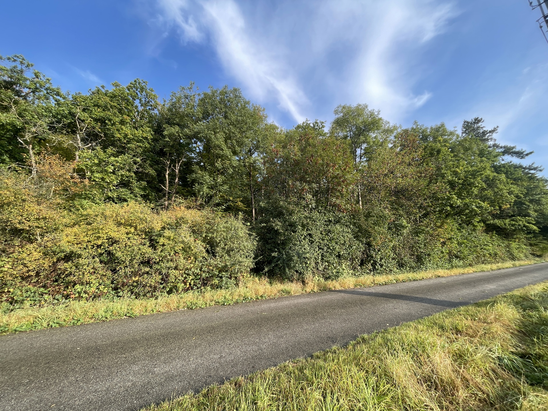 Grond te koop in Ciney - foto 2